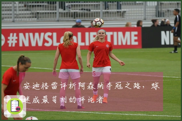 安迪格雷评析阿森纳夺冠之路，球迷成最苛刻的评论者